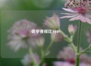 德甲赛程比分DS