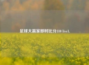 足球大赢家即时比分310 live1.