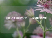 足球比分网即时比分一一足球比赛结果