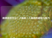 棋牌游戏平台二人麻将二人麻将的趣味与魅力