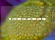 比分即时比分足球即时比分捷报网