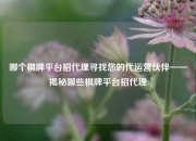 哪个棋牌平台招代理寻找您的代运营伙伴——揭秘哪些棋牌平台招代理