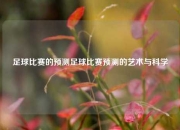足球比赛的预测足球比赛预测的艺术与科学