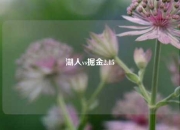湖人vs掘金2.15