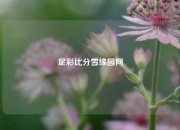 足彩比分雪缘园网