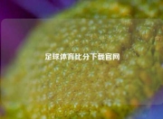 足球体育比分下载官网