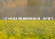 今日十四场足球比赛预测把握关键，赢得胜利