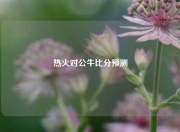 热火对公牛比分预测