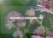 谁有棋牌平台谁拥有棋牌平台？
