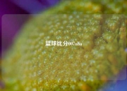 篮球比分007nba