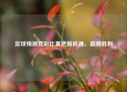 足球预测竞彩比赛把握机遇，赢得胜利