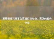 至尊棋牌代理平台客服打造专业、高效的服务体验
