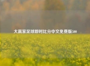 大赢家足球即时比分中文免费版500