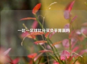 一比一足球比分买负平算赢吗