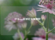 什么app足球比分预测好