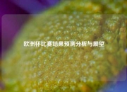 欧洲杯比赛结果预测分析与展望