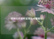 球探比分即时足球比分捷报love