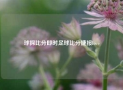 球探比分即时足球比分捷报love