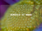 欧洲杯比分一比一算谁赢