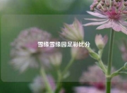 雪缘雪缘园足彩比分