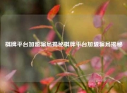 棋牌平台加盟骗局揭秘棋牌平台加盟骗局揭秘