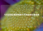 今天足球比赛的预测今天的足球比赛预测