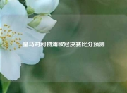 皇马对利物浦欧冠决赛比分预测