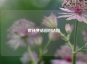世预赛德国对法国