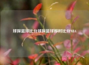 球探篮球比分球探篮球即时比分NBA