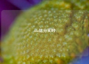nba比分实时