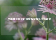 一木棋牌官网平台探索数字娱乐的新篇章