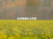 足球直播比分百度