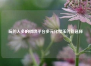 玩的人多的棋牌平台多元化娱乐的新选择