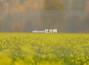 sofascore比分网