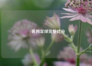 釆客网足球完整比分