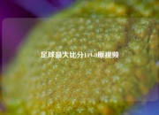 足球最大比分149-0原视频