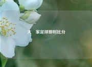 大䇔家足球即时比分