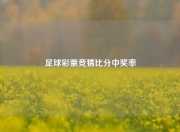 足球彩票竞猜比分中奖率