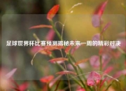 足球世界杯比赛预测揭秘未来一周的精彩对决