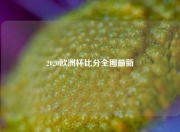 2020欧洲杯比分全图最新