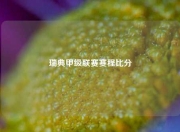 瑞典甲级联赛赛程比分
