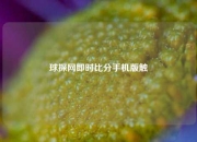 球探网即时比分手机版触