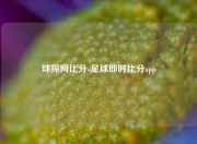 球探网比分-足球即时比分app