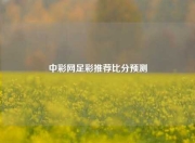 中彩网足彩推荐比分预测