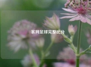釆客网足球完整比分