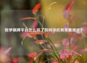 惊梦棋牌平台怎么样了如何评价其发展现状？