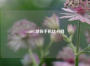 win007球探手机比分网