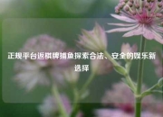正规平台返棋牌捕鱼探索合法、安全的娱乐新选择