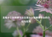 北海十三张棋牌平台北海十三张棋牌平台的介绍与优势