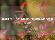 棋牌平台 十万会员棋牌平台的崛起与百万会员的魅力